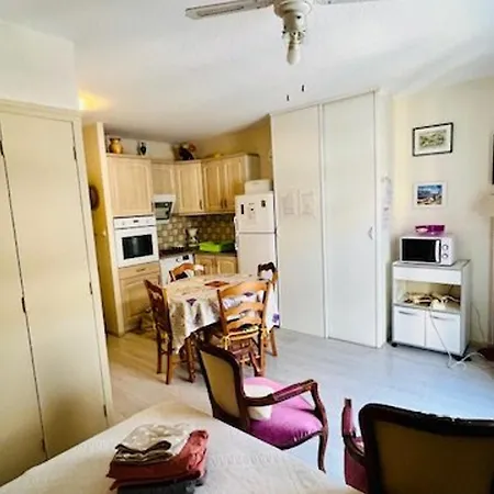 Lejlighed Centre Amelie-les-bains Avec Balcon, Garage Et Ascenseur - Fr-1-703-132