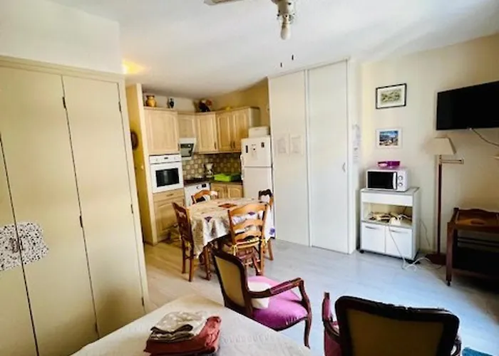 Apartman Centre Amelie-les-bains Avec Balcon, Garage Et Ascenseur - Fr-1-703-132